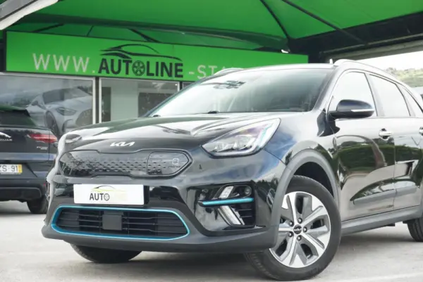 Kia e-Niro Spirit 15