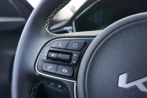Kia e-Niro Spirit 19