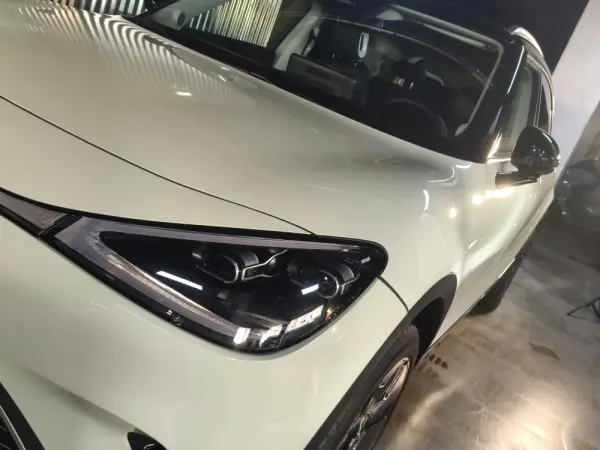 Smart #1 66 kWh Premium 7