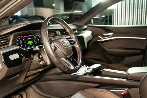 Audi e-tron 55 quattro 16