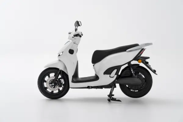 Efun Deer 2