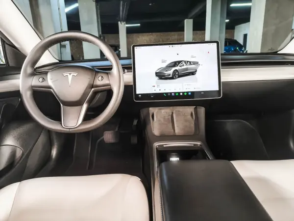 Tesla Model 3 Long Range Tração Integral 20