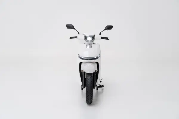 Efun Deer 8