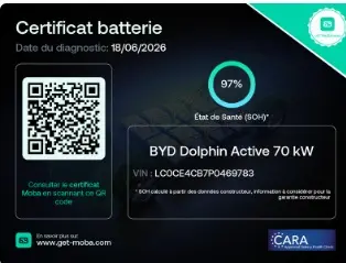 BYD Dolphin 60.4 kWh Comfort 29