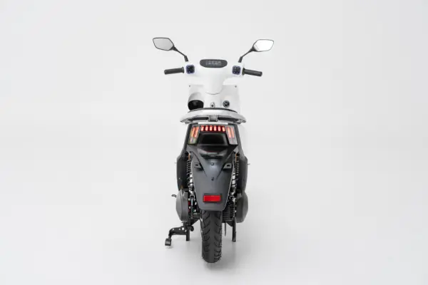 Efun Deer 5