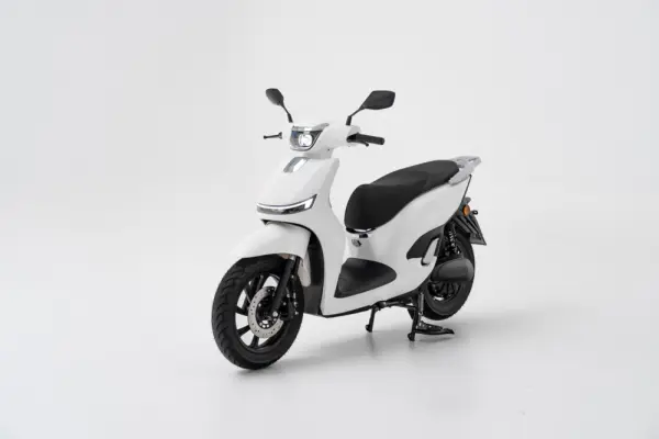 Efun Deer 1