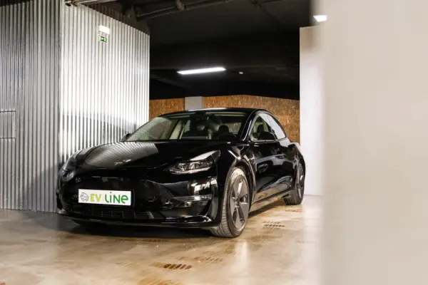Tesla Model 3 Long Range AWD Dual Motor 3