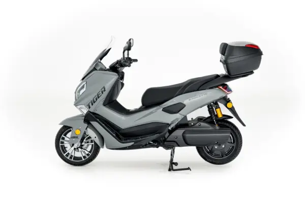 Efun Tiger 10