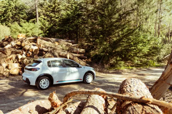 Peugeot e-208 50 kWh Active Active Business 13