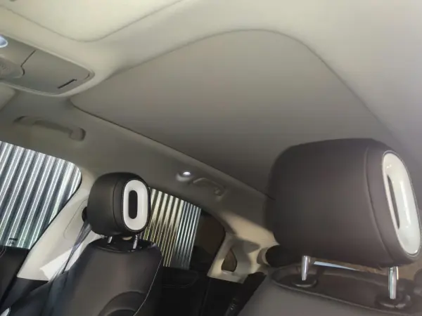 Smart #1 66 kWh Premium 21
