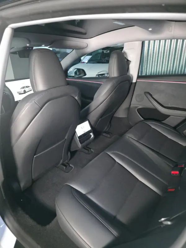 Tesla Model 3 Long Range Tração Integral 33
