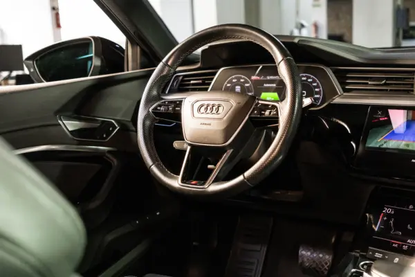 Audi e-tron 55 quattro 20