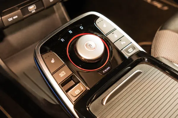 Kia e-Niro Spirit 31