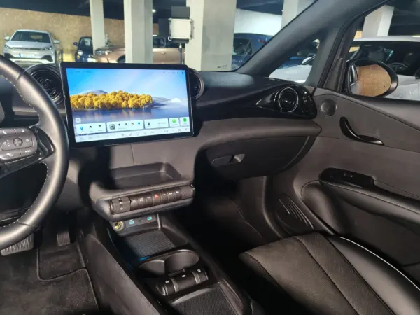 BYD Dolphin 60.4 kWh Comfort 12