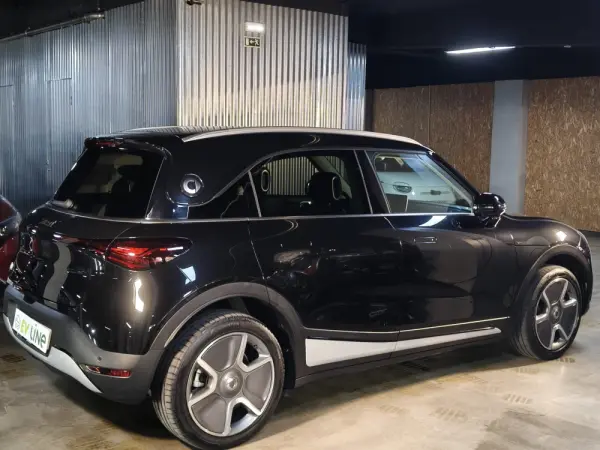 Smart #1 66 kWh Pro+ 22kW 8