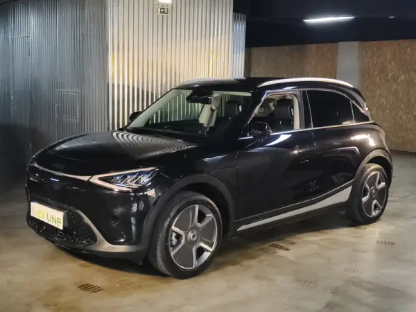 Smart #1 66 kWh Pro+ 22kW 1