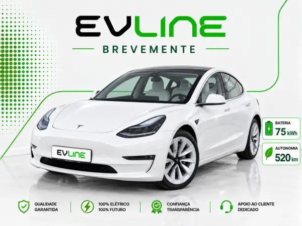 Tesla Model 3 Long Range AWD Dual Motor 1