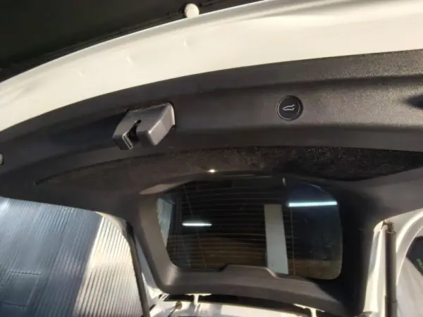 Tesla Model Y RWD 17