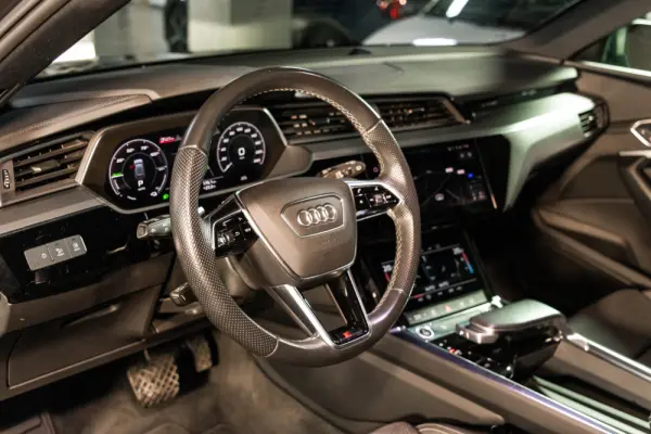 Audi e-tron 55 quattro 14