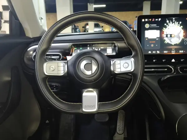 Smart #1 66 kWh Pro+ 22kW 27
