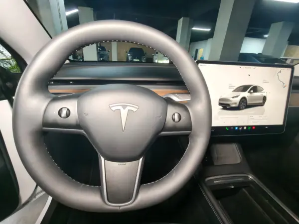 Tesla Model Y RWD 27
