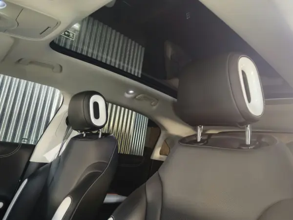 Smart #1 66 kWh Premium 20