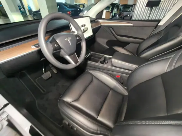 Tesla Model Y RWD 18