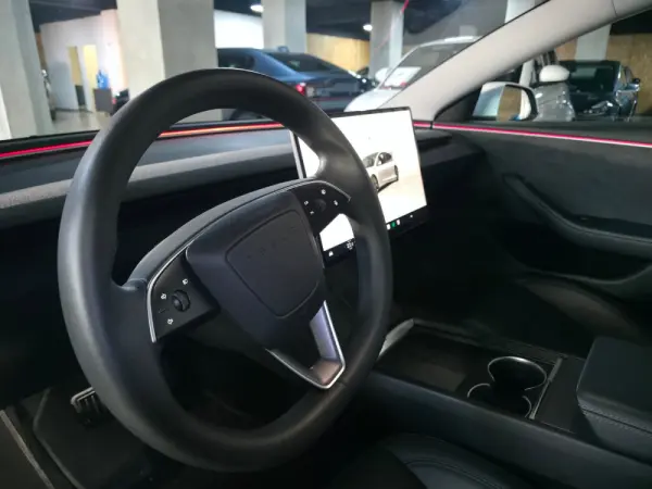 Tesla Model 3 Long Range Tração Integral 25