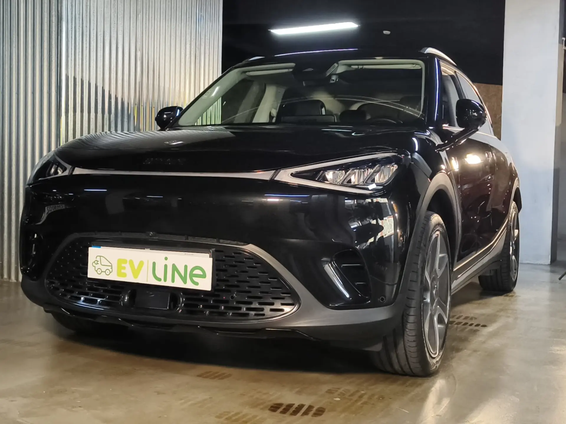 Smart #1 66 kWh Pro+ 22kW 5