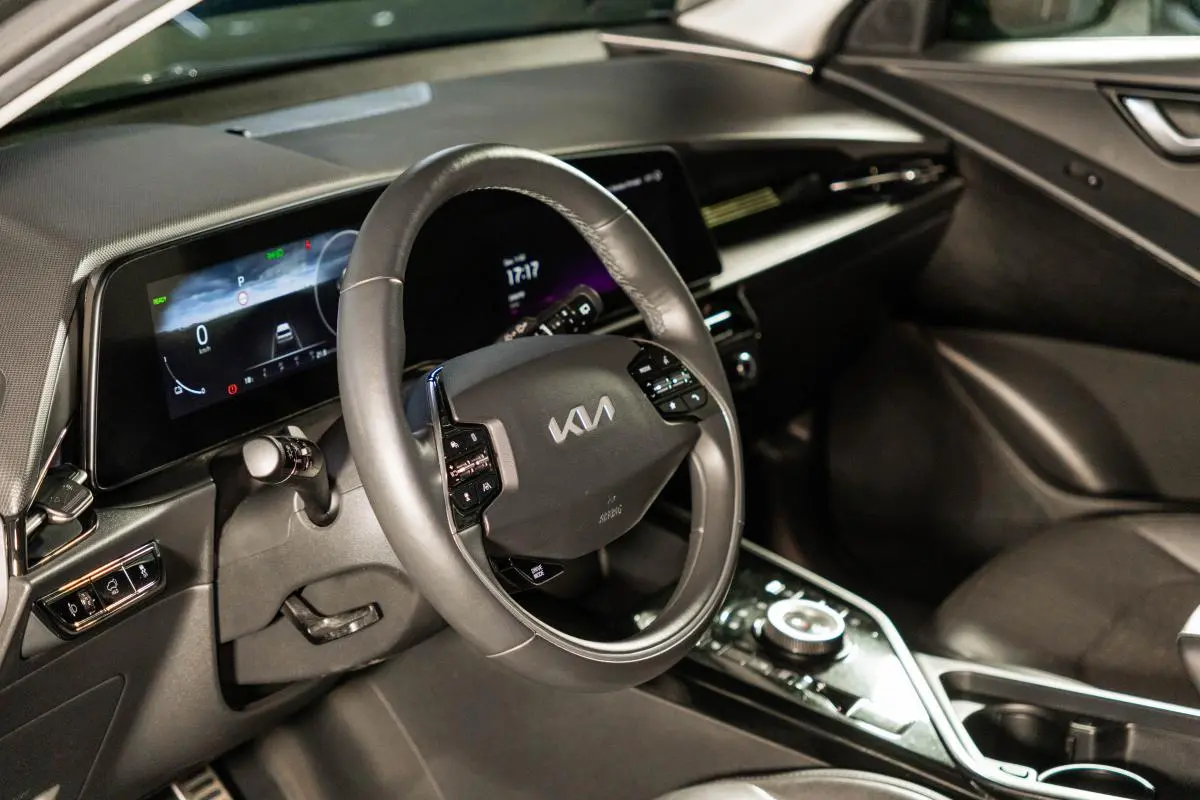 Kia Niro EV 64kWh Tech X 19