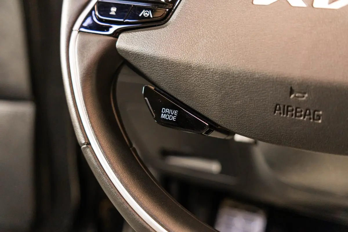 Kia Niro EV 64kWh Tech X 23