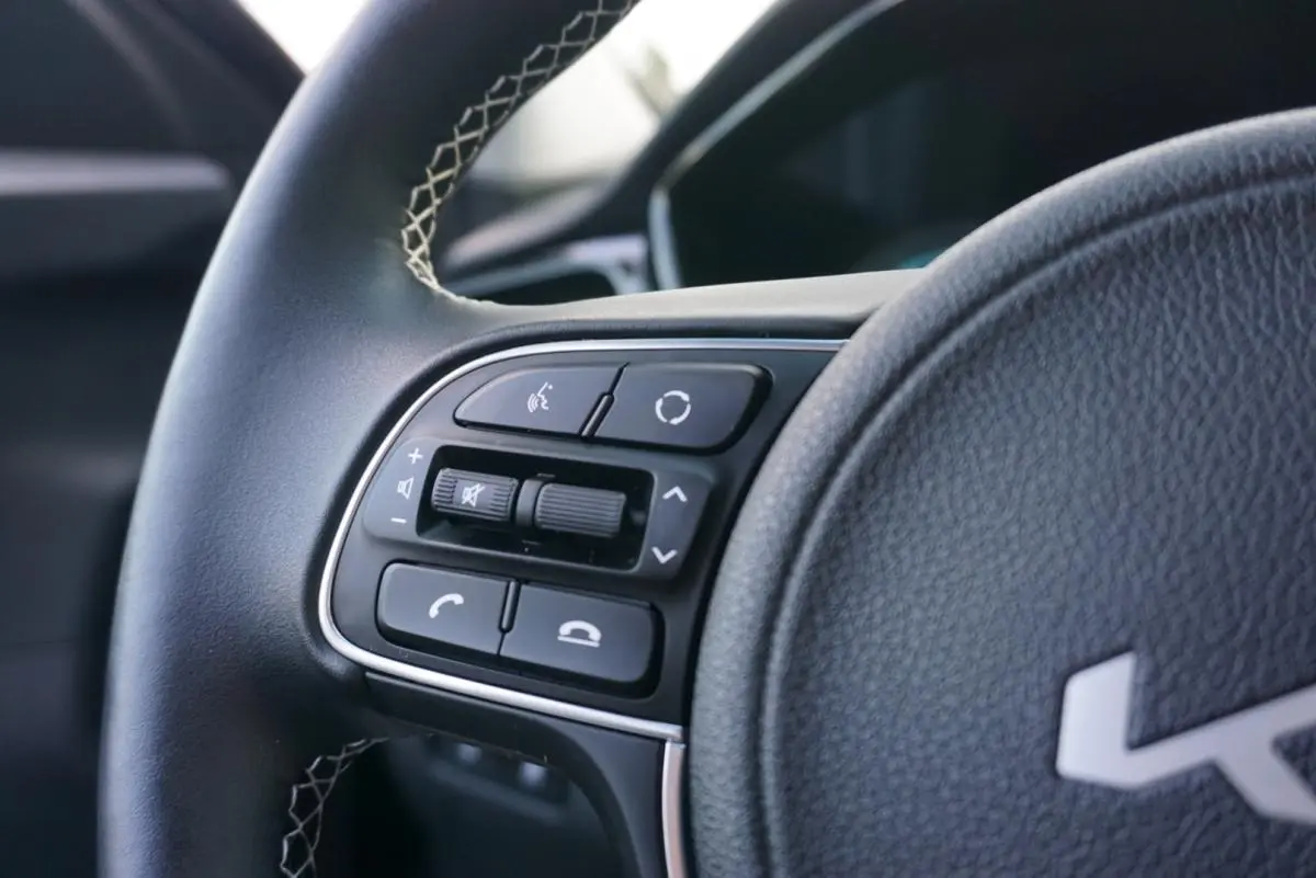 Kia e-Niro Spirit 19