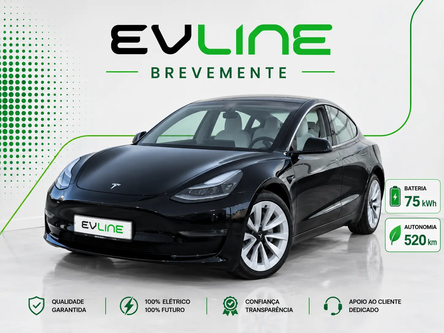 Tesla Model 3 Long Range AWD Dual Motor 1