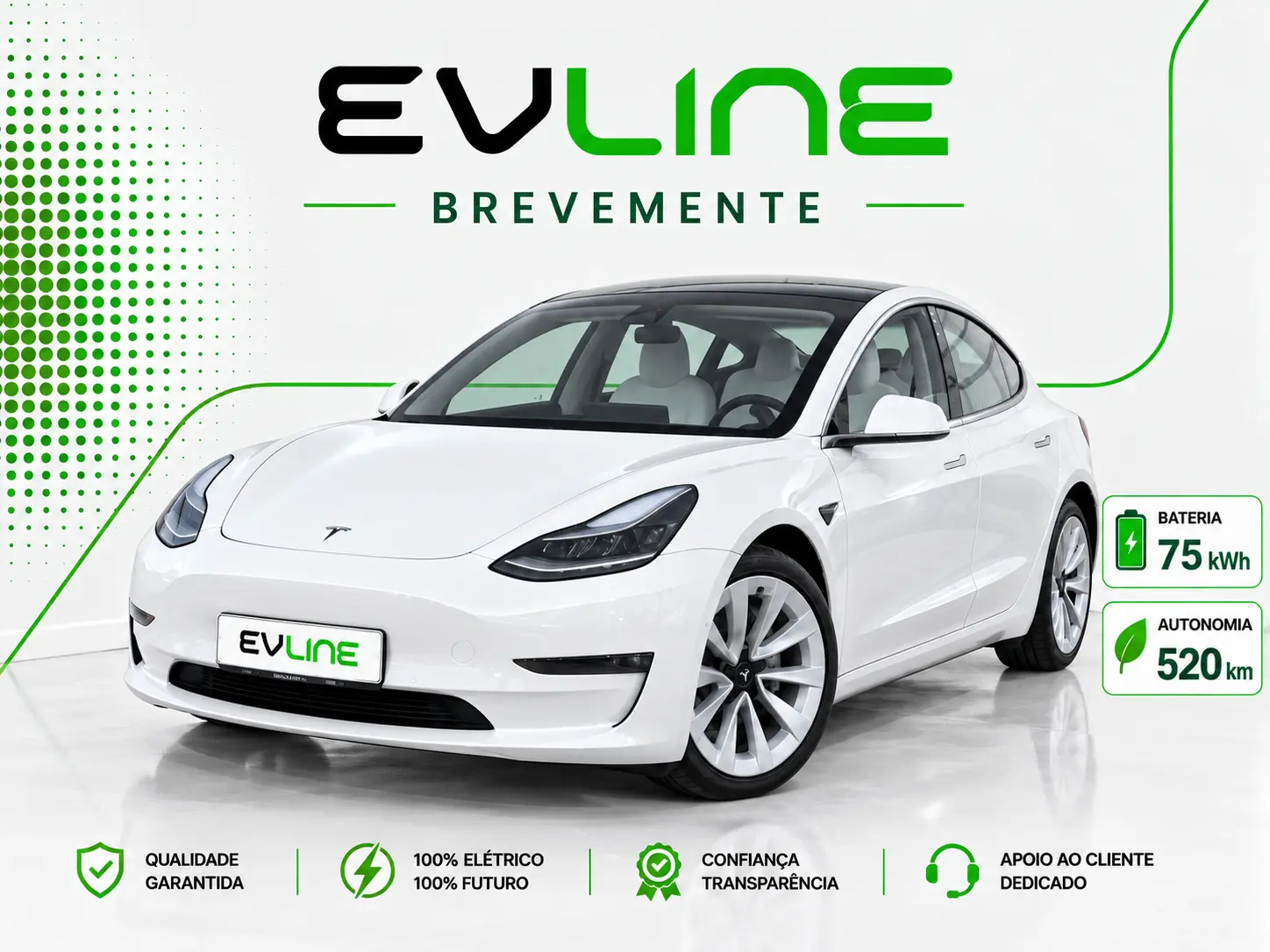 Tesla Model 3 Long Range AWD Dual Motor 1