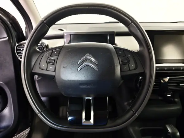 Citroen C4 Cactus 1.2 PureTech Shine 13