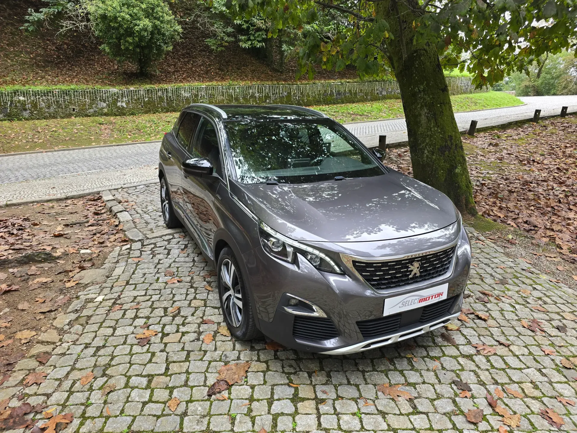 Peugeot 3008 1.2 PureTech GT Line Grip Control EAT6 2