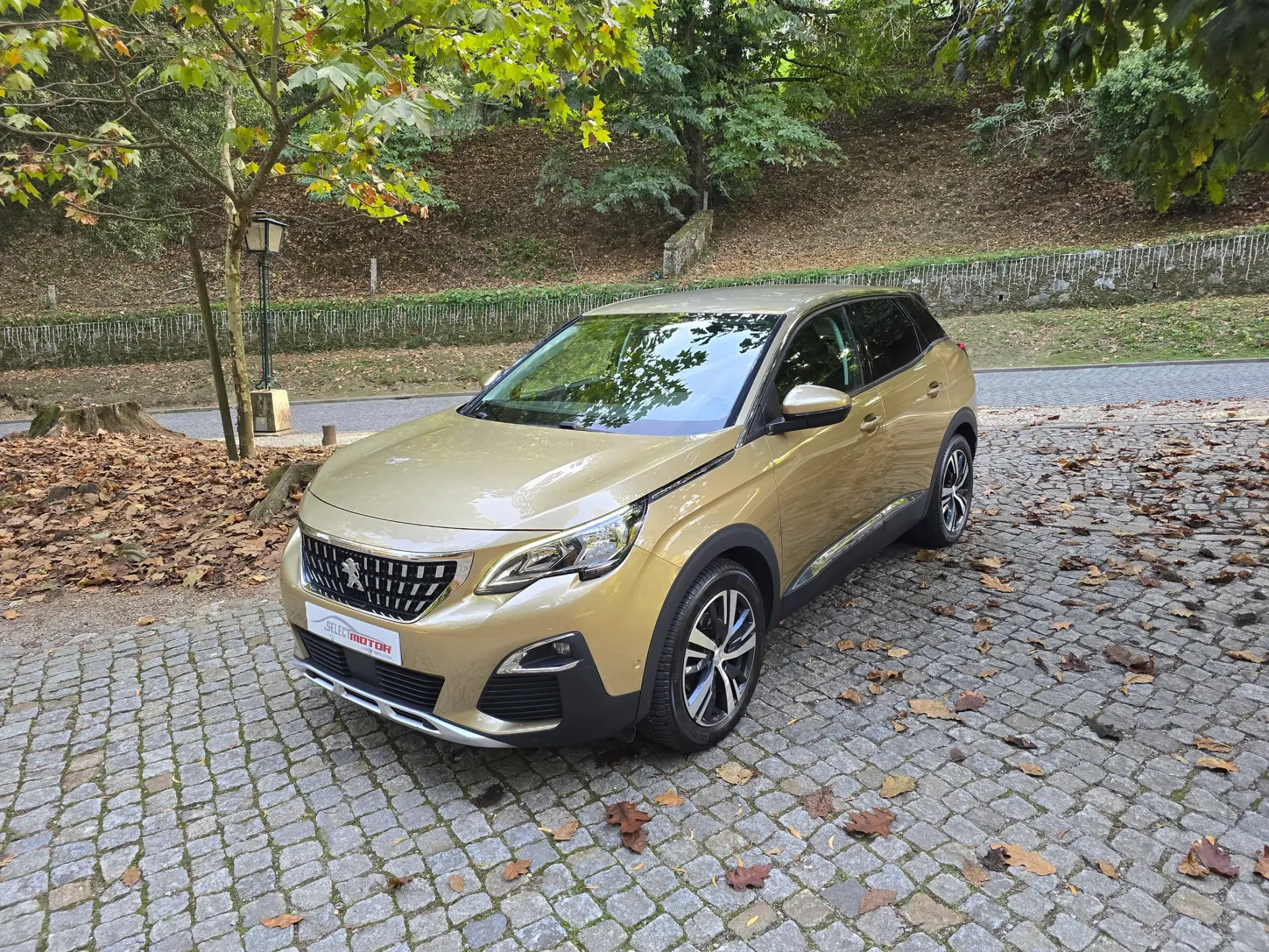 Peugeot 3008 1.2 PureTech Allure 5