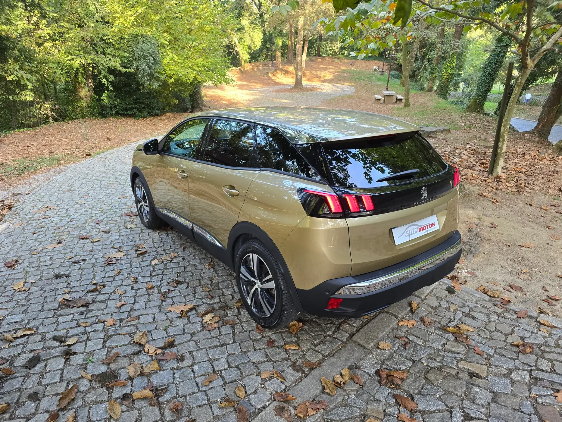 Peugeot 3008 1.2 PureTech Allure 6