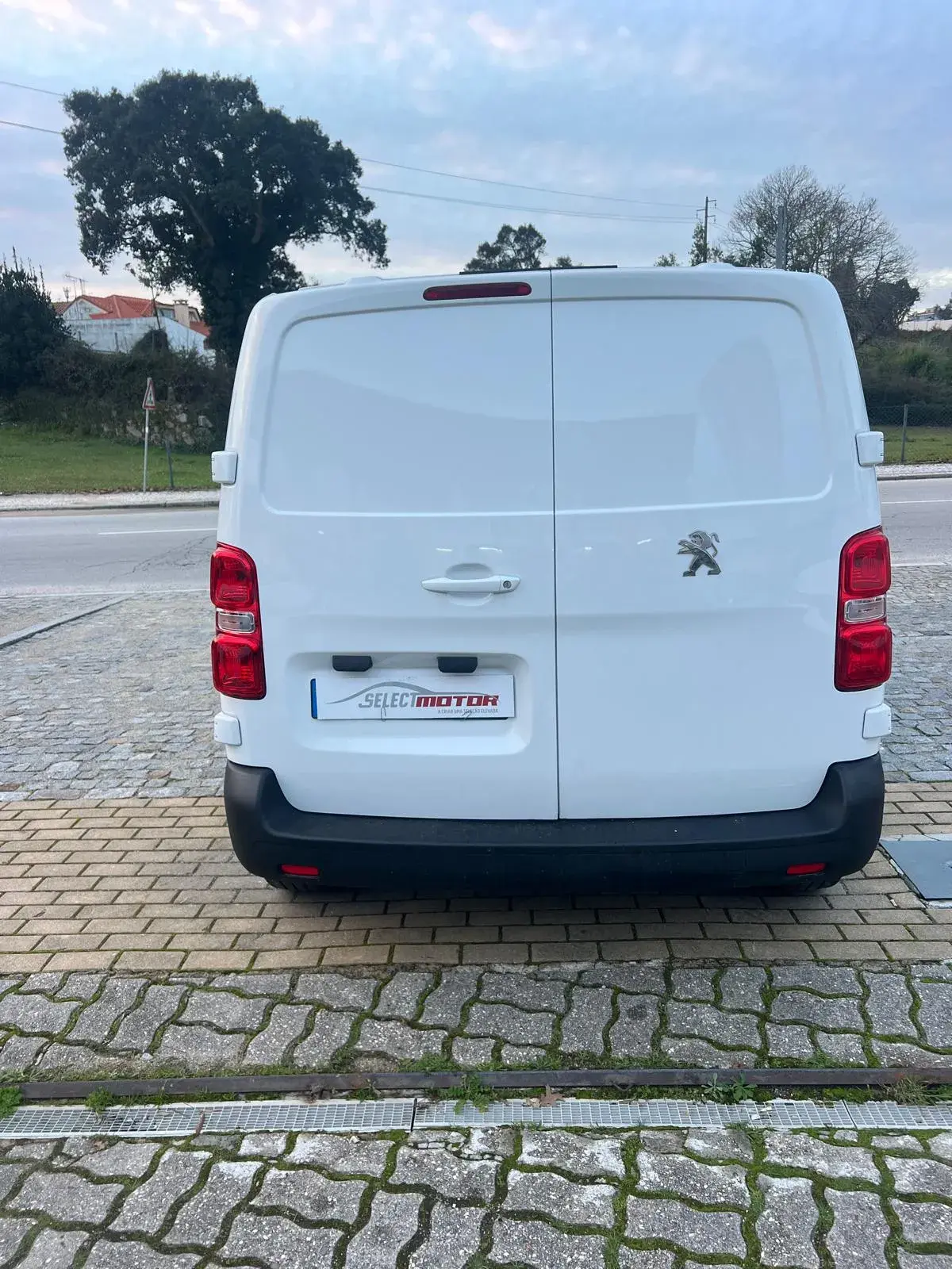 Peugeot Expert 1.6 BlueHDi L2H1 6