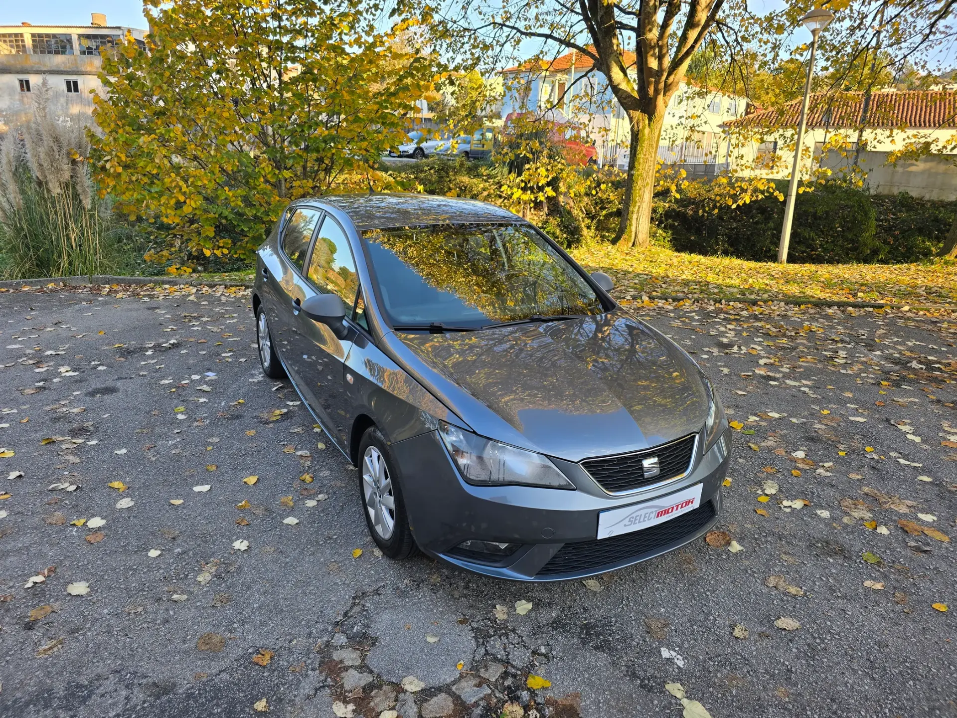 SEAT Ibiza 1.4 TDi Style 2