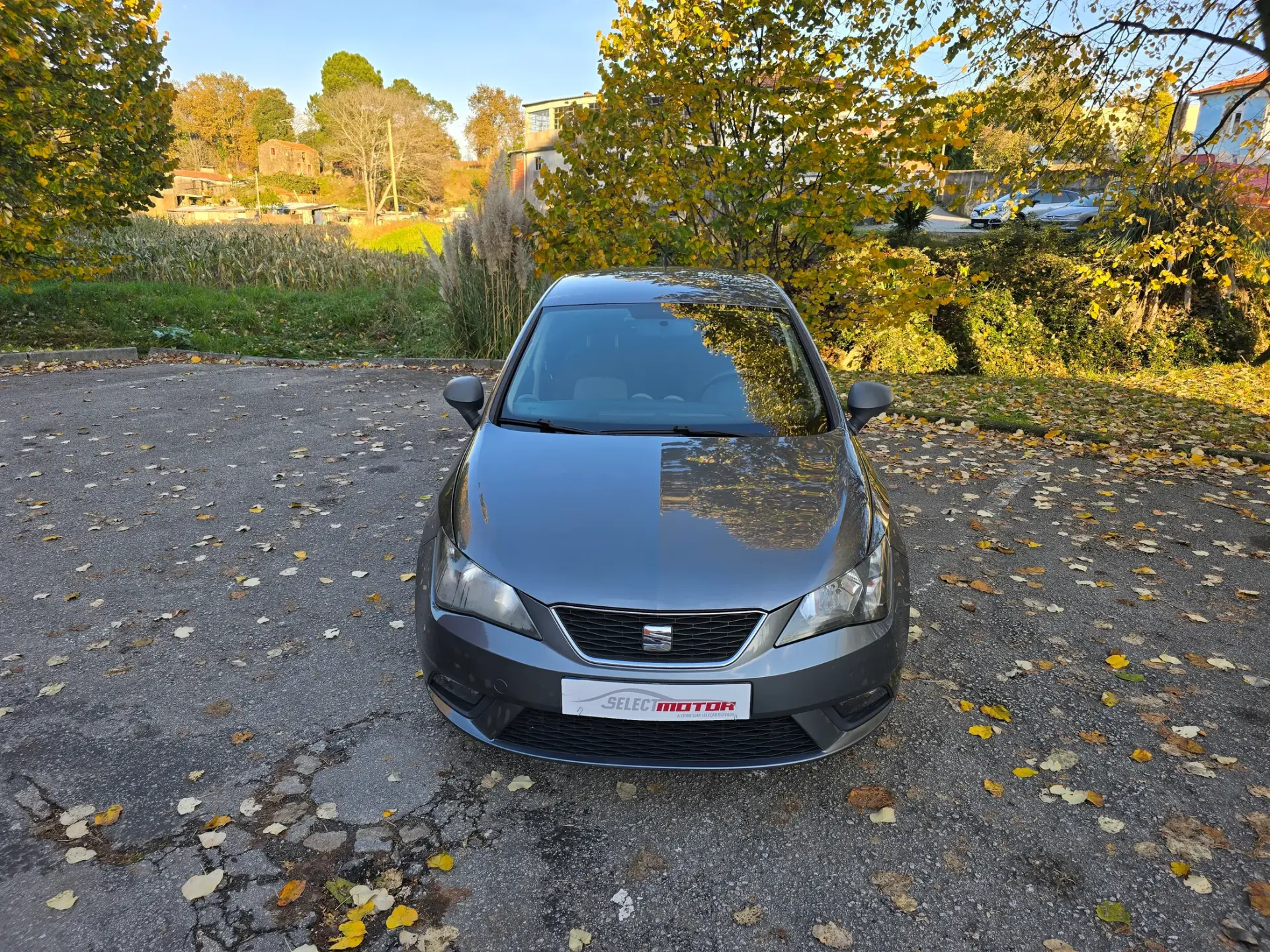 SEAT Ibiza 1.4 TDi Style 3