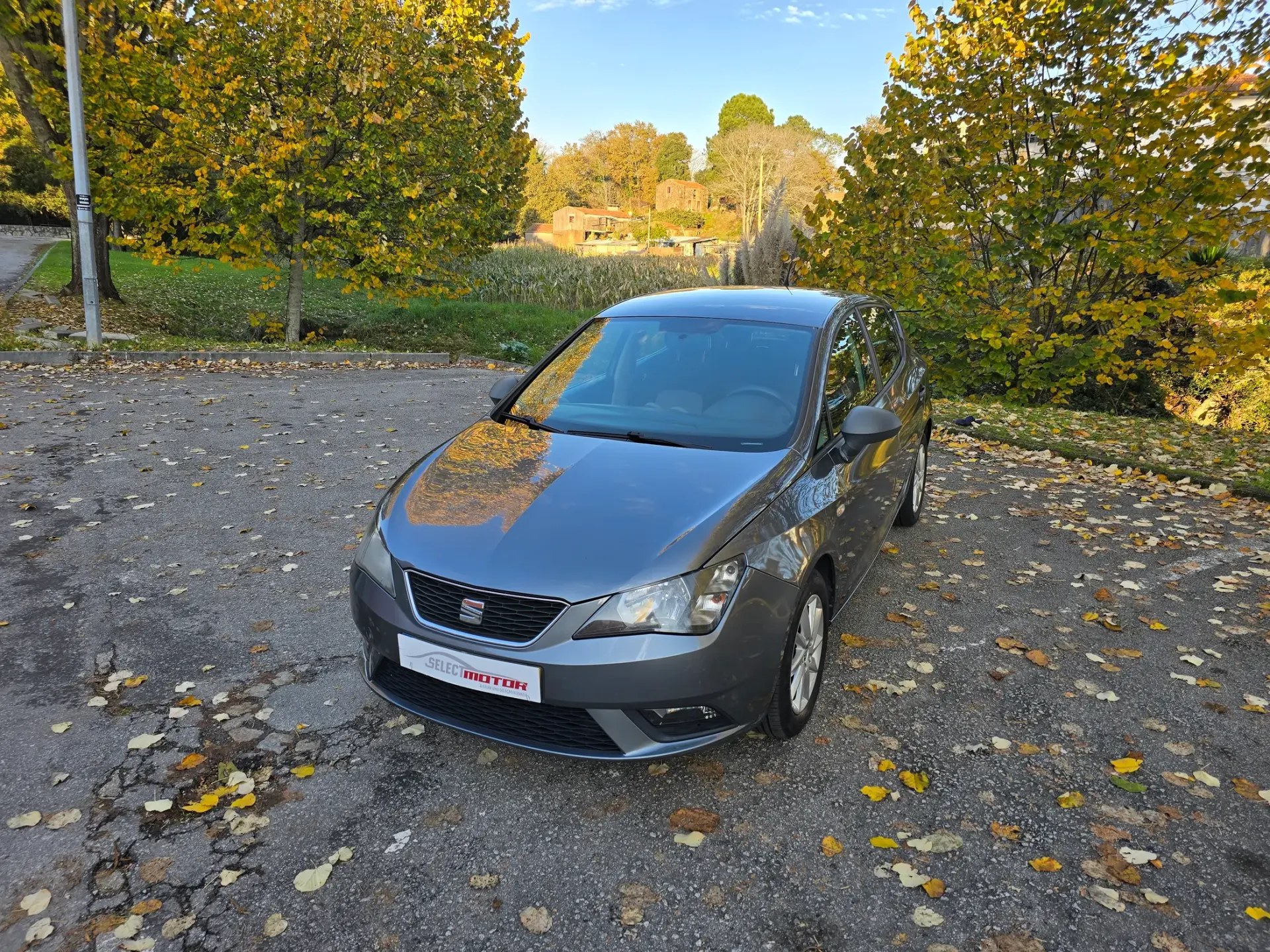 SEAT Ibiza 1.4 TDi Style 4