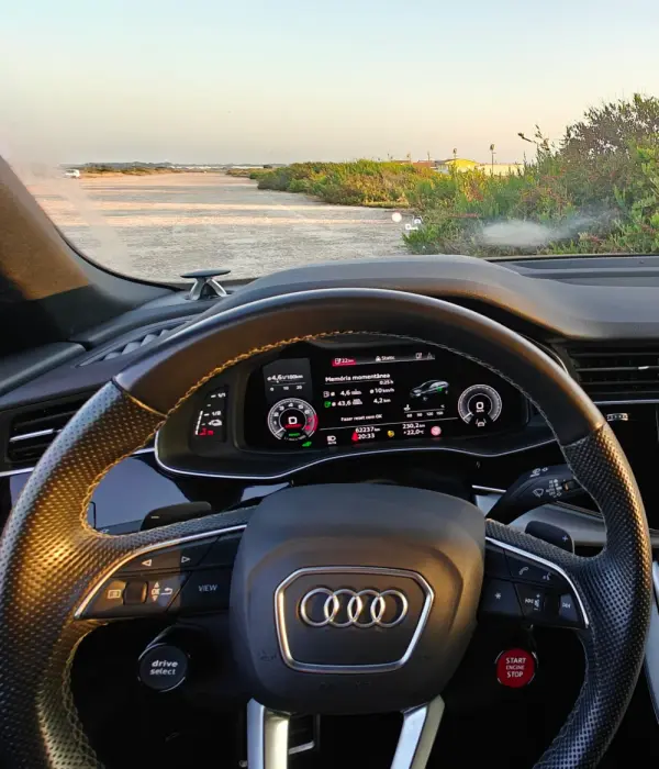 Audi Q8 60 TFSIe quattro S line Tiptronic 17