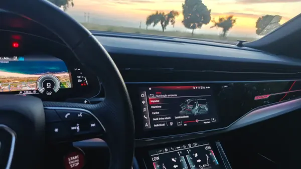 Audi Q8 60 TFSIe quattro S line Tiptronic 32