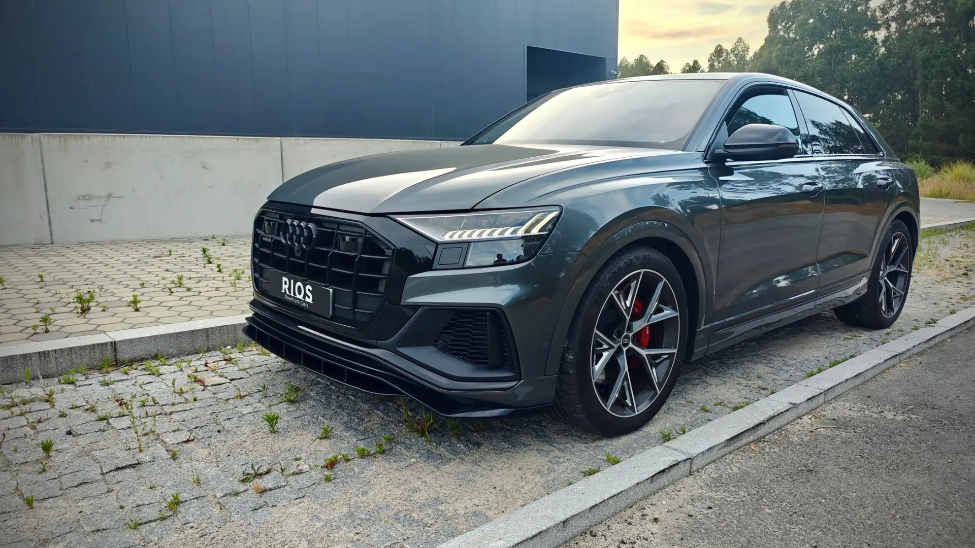 Audi Q8 60 TFSIe quattro S line Tiptronic 7