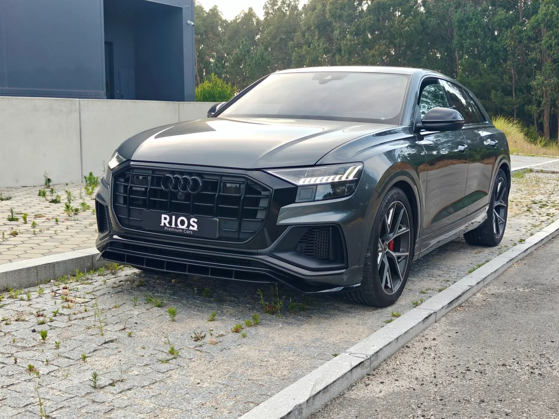 Audi Q8 60 TFSIe quattro S line Tiptronic 13