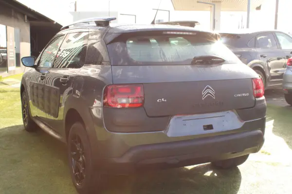 Citroën C4 Cactus 1.6 BlueHDi Shine ETG6 9
