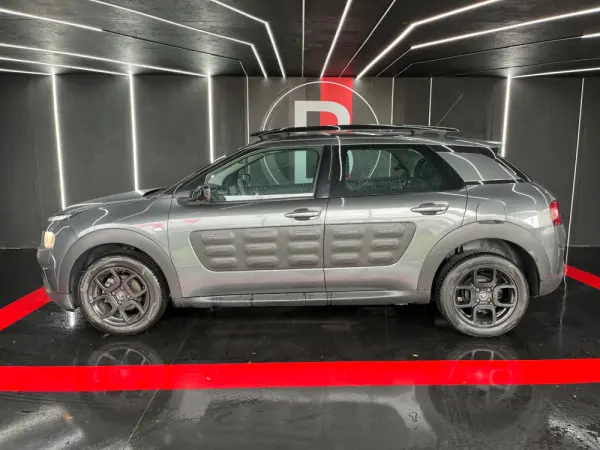 Citroen C4 Cactus 1.6 BlueHDi Shine ETG6 11