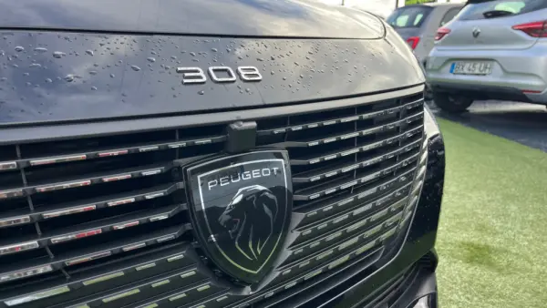 Peugeot 308 Allure pack 4