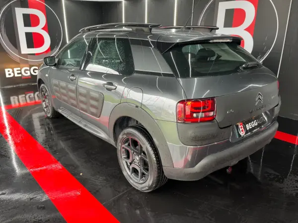 Citroen C4 Cactus 1.6 BlueHDi Shine ETG6 13